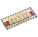 Dente Trilux Anterior Superior - VIPI