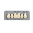 Dente VITA MFT Posterior Superior - Wilcos