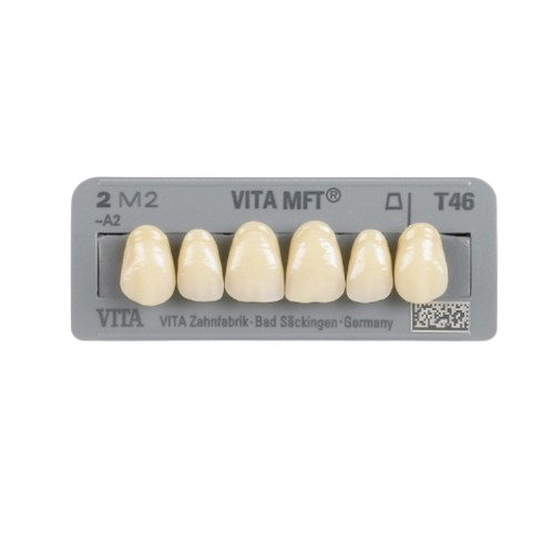 Dente VITA MFT Anterior Superior - Wilcos