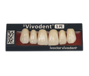 Dente Vivodent S PE Anterior Inferior - Ivoclar