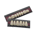 Dente Evolut DLA Posterior Inferior - Evoden