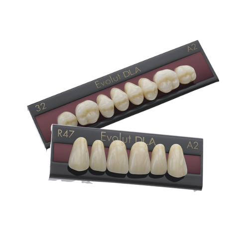 Dente Evolut DLA Posterior Inferior - Evoden