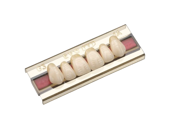 Dente Evotri V Posterior Inferior - Evoden