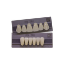 Dente FX Tri Posterior Superior - Kota