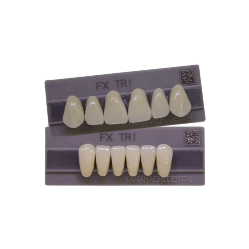 Dente FX Tri Anterior Inferior - Kota