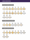 Bloco MegaCAD MT C14 - ODONTOMEGA