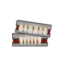 Dente Genios Anterior Superior - Dentsply Sirona