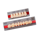 Dente New Ace Posterior Inferior - Kota