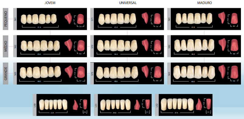 Dente SR Phonares II Posterior Inferior - Ivoclar