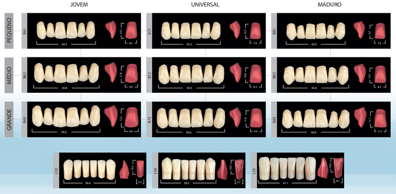 Dente SR Phonares II Anterior Superior - Ivoclar