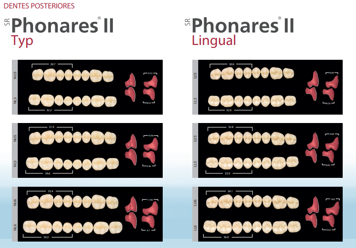 Dente SR Phonares II Anterior Superior - Ivoclar