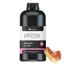 Resina Impressão 3D Gengiva Rosa 250g DLP/LCD - Makertech